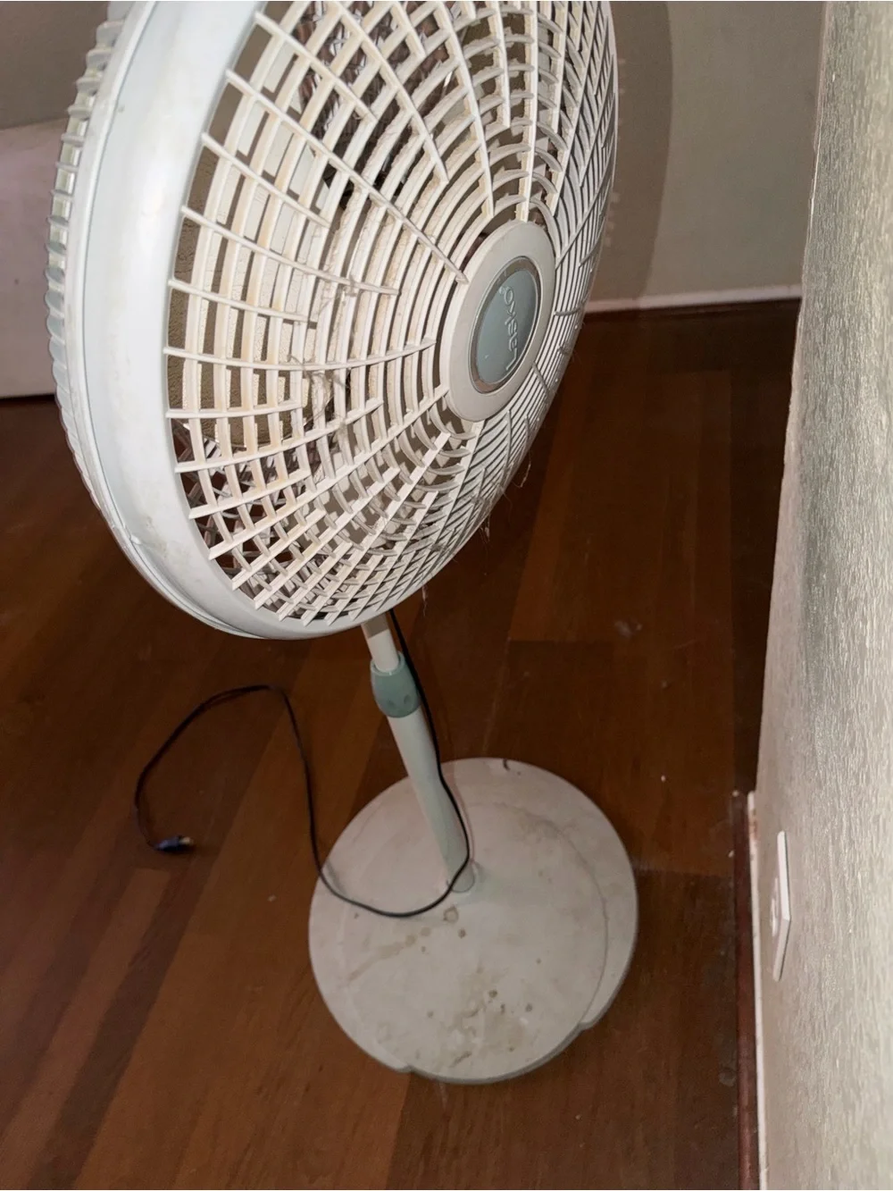 White Pedestal Floor Fan for Home Cooling